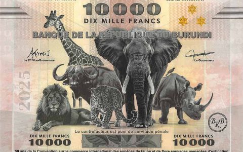 布隆迪2025年发行《濒危野生动植物种国际贸易公约》签署50周年纪念钞PW60